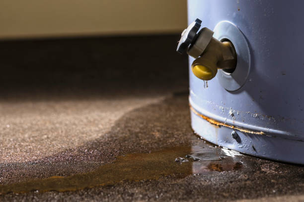 Best Professional water damage repair  in Conyers, GA