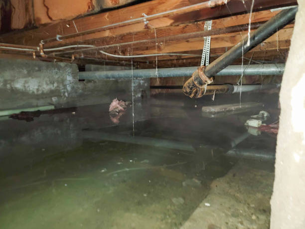 Best 24-hour water damage restoration  in Conyers, GA