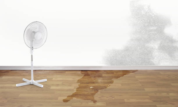 Best Residential water damage restoration  in Conyers, GA