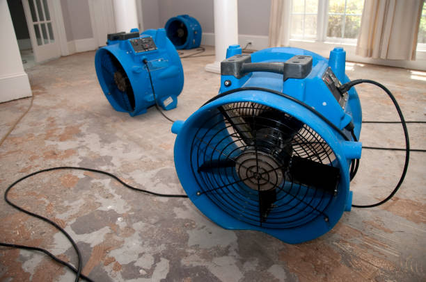 Best Flood damage cleanup  in Conyers, GA