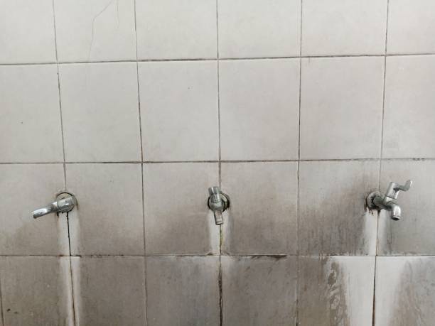 Best Ceiling water damage repair  in Conyers, GA