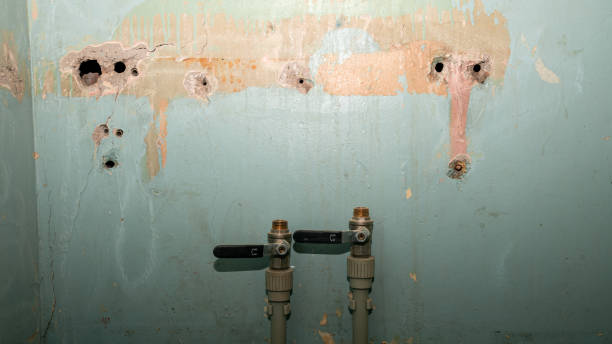 Best Basement water damage restoration  in Conyers, GA