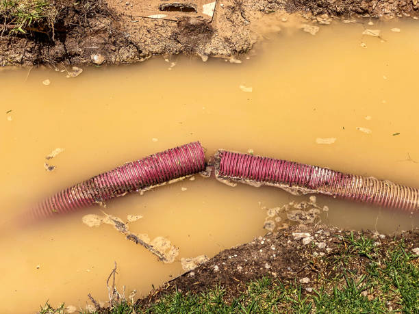Best Water damage restoration services  in Conyers, GA