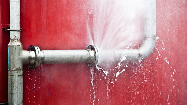 Best Mold removal after water damage  in Conyers, GA